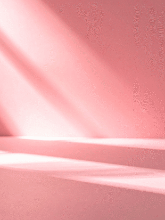 Concurso MP AL: cargos, salários e detalhes do novo edital