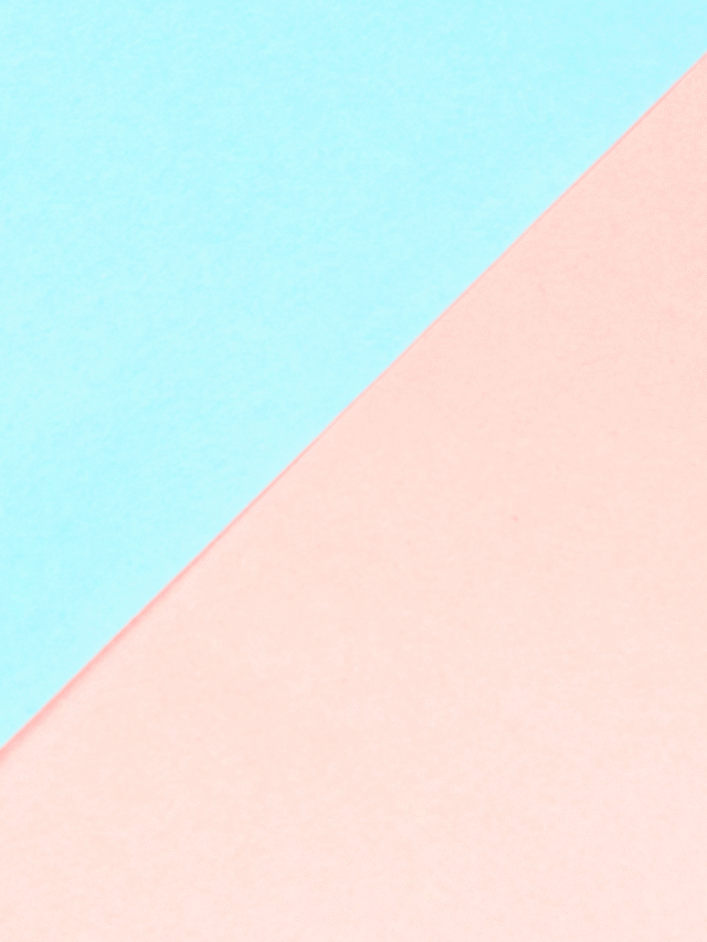 Gabarito extraoficial PC PI 2026: confira as respostas para oficial investigador